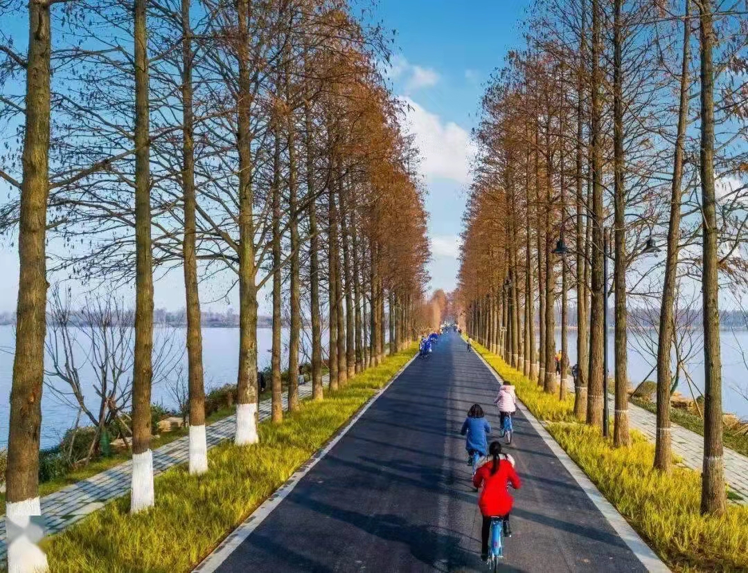 武漢三新職業(yè)技術(shù)學(xué)校