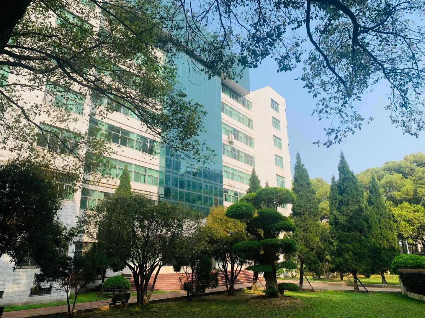 武漢三新職業(yè)技術(shù)學(xué)校